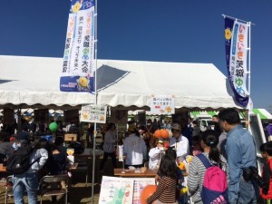 稲敷市文化祭