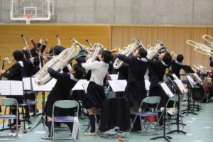 全体